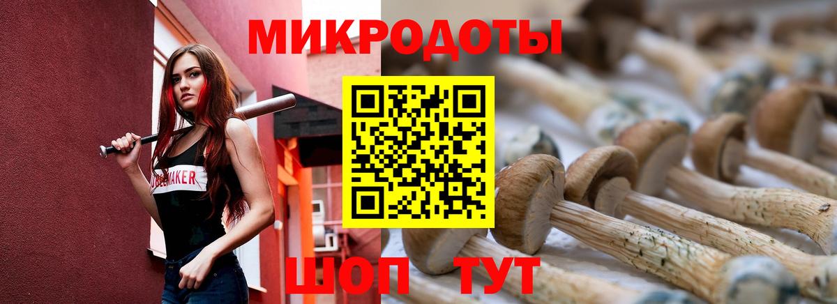 Псилоцибиновые грибы Cubensis  Вход с VPN  Галлюциногенные грибы Cubensis  Старый Оскол 