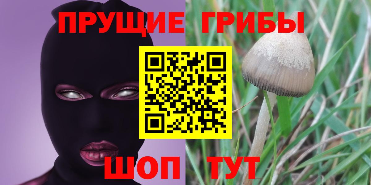 Псилоцибиновые грибы ЛСД Старый Оскол